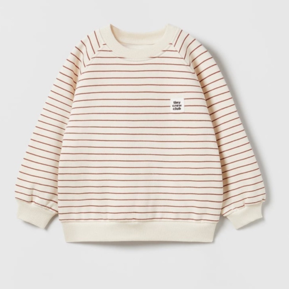 Zara Striped Sweatshirt